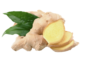 Ginger PNG-16779